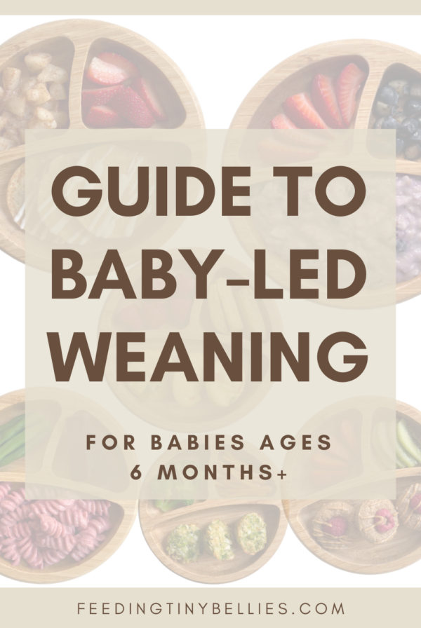 Guide to Baby-led Weaning - For babies ages 6 months and up.
