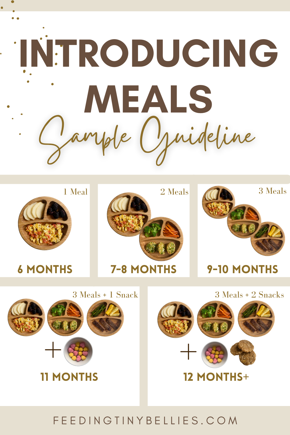 Introducing meals - sample guideline for different age ranges