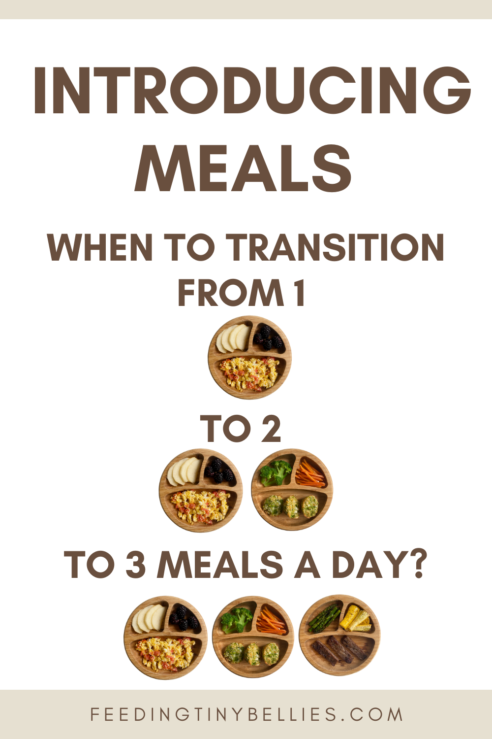 Introducing meals - When to transition from 1 to 2 to 3 meals a day?