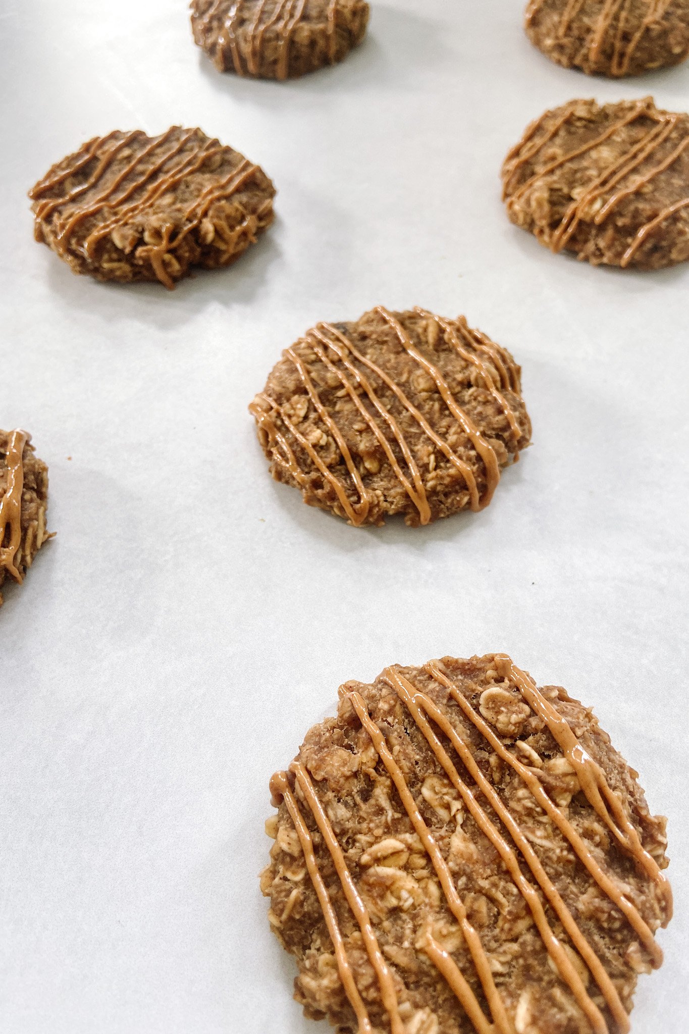 Peanut butter oatmeal cookies drizzled with peanut butter