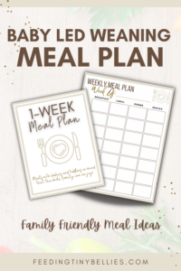 Baby Led Weaning Meal Plan (Toddler And Family Meal Ideas) - Feeding ...