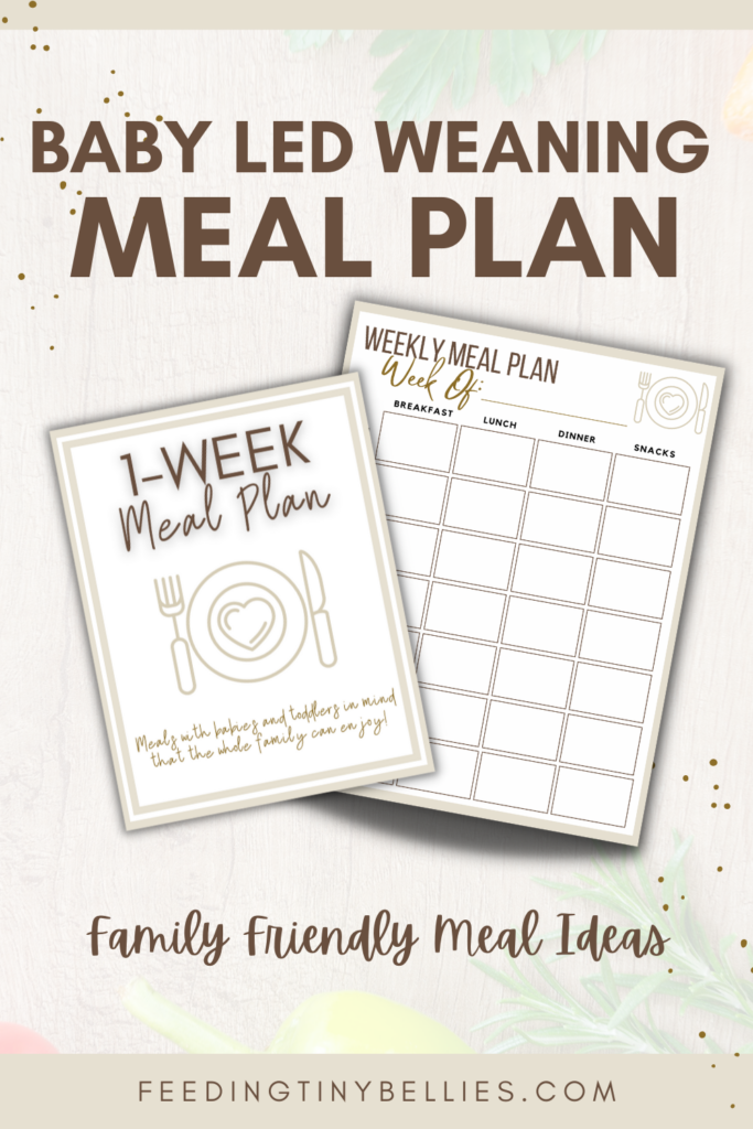 Baby Led Weaning Meal Plan (Toddler And Family Meal Ideas) - Feeding