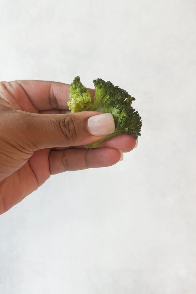Broccoli floret smooshed between fingers.