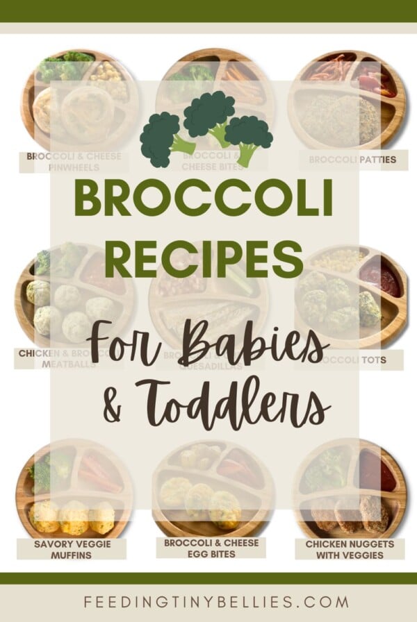 Broccoli recipes for babies and toddlers.