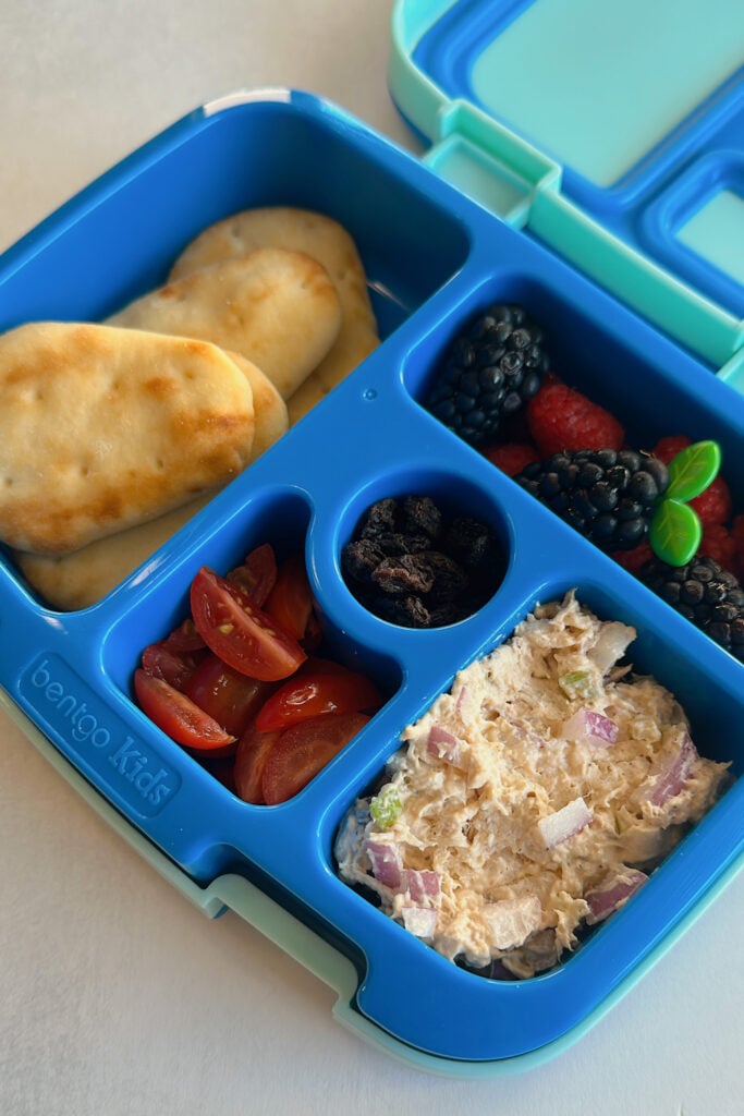 Chicken salad served with naan dippers, tomatoes, raspberries, blackberries, and raisins.