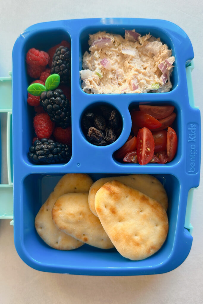 Chicken salad served with naan dippers, tomatoes, raspberries, blackberries, and raisins.