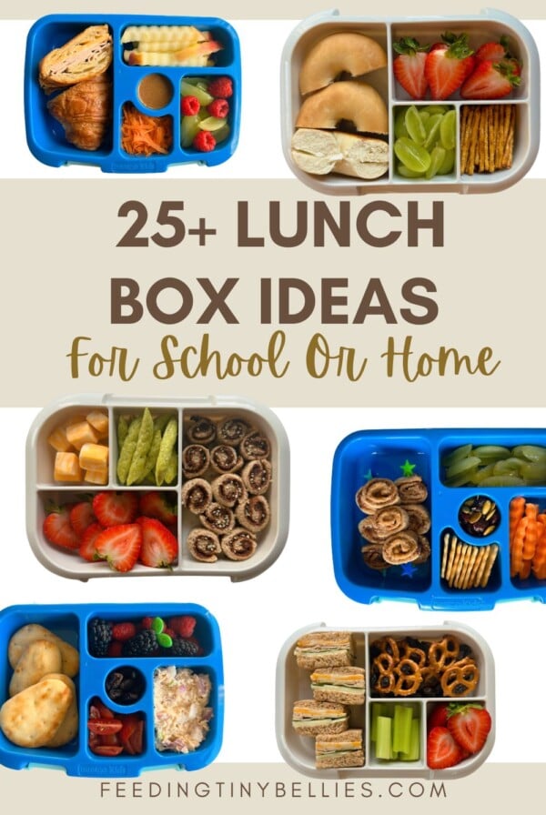 25+ lunchbox ides for school or home.