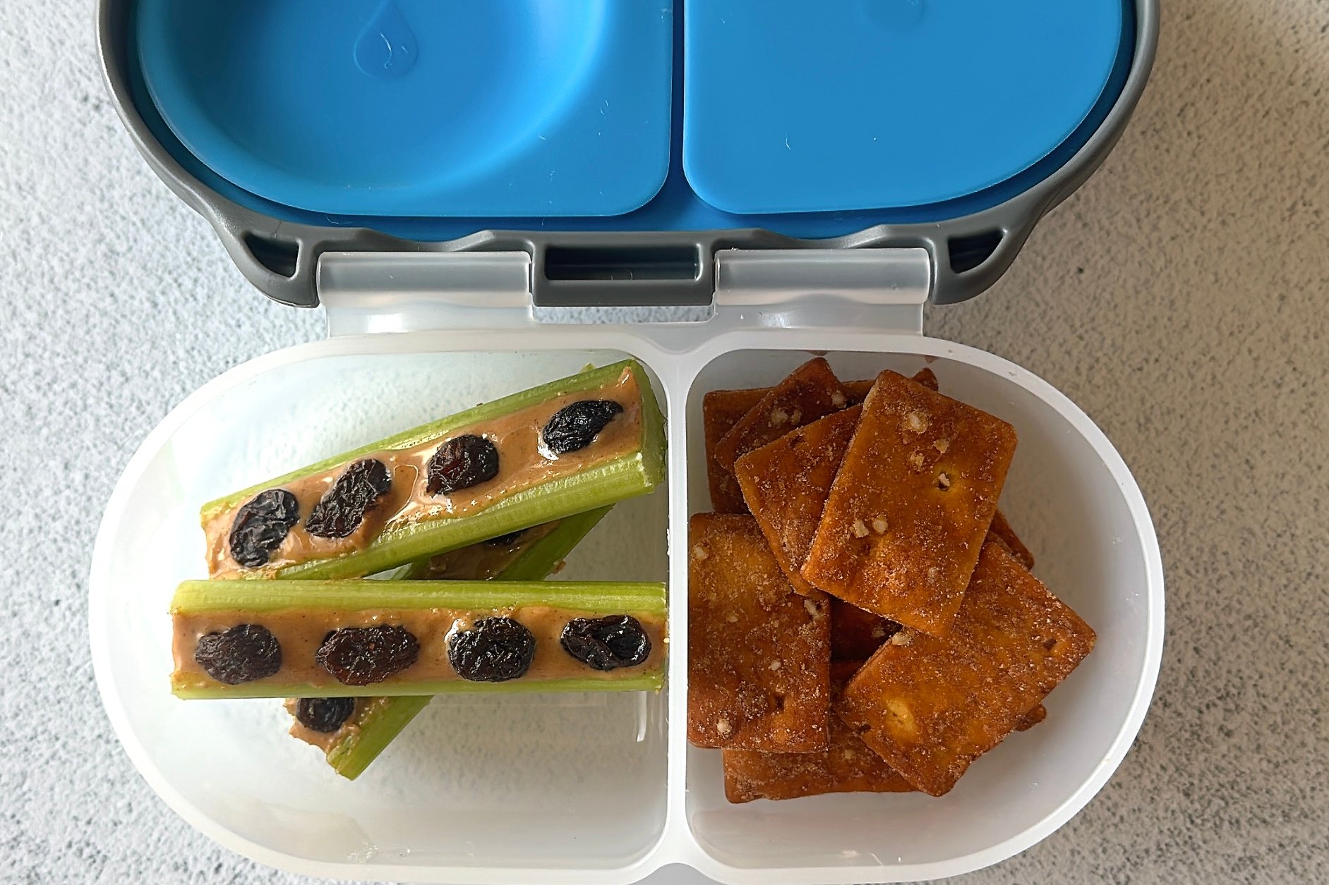 Ants on a log snackbox.