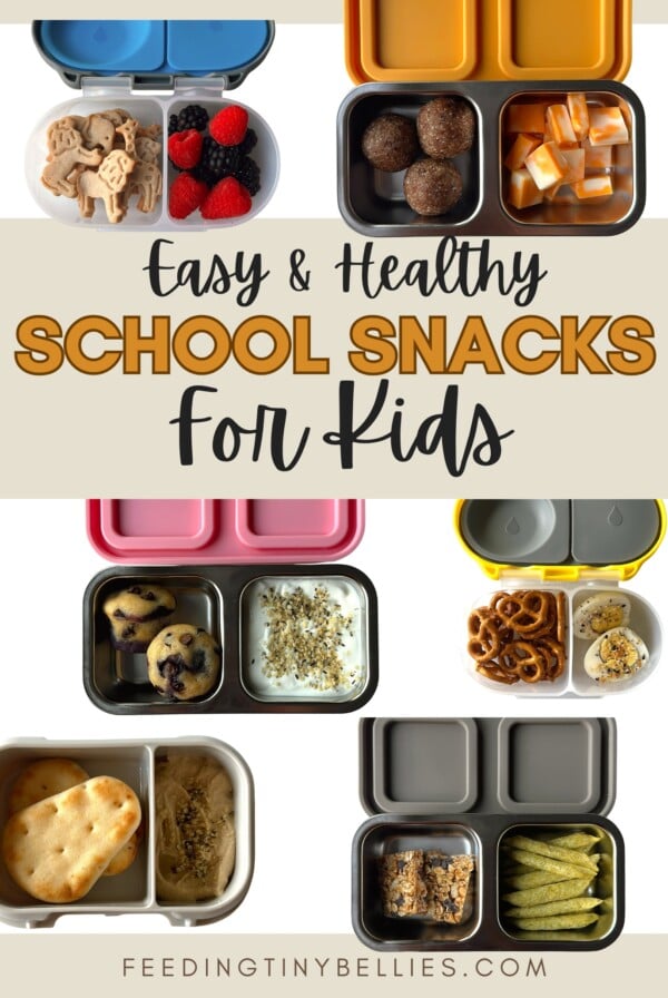 Healthy school snacks for kids.