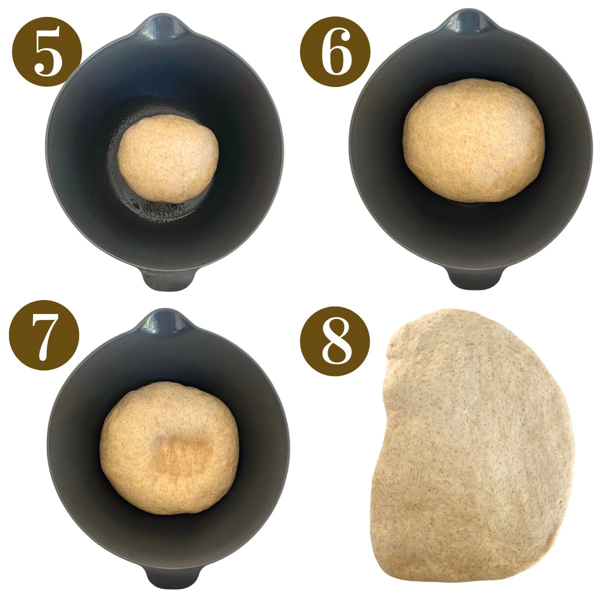 Steps to make honey wheat sandwich bread.