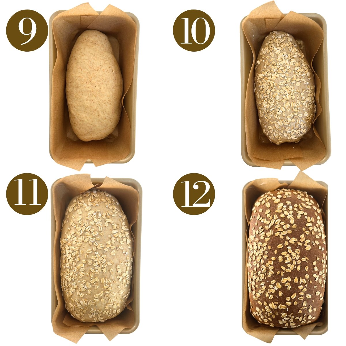 Steps to make honey wheat sandwich bread.