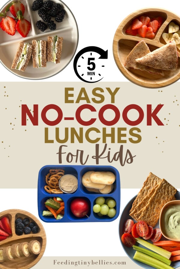 No cook lunches for kids.